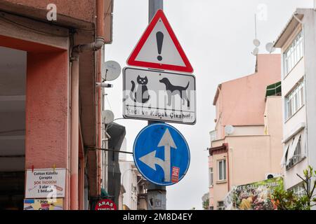 Avertissement de circulation des chats et des chiens errant dans la rue - Istanbul, Turquie Banque D'Images