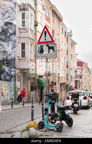 Avertissement de circulation des chats et des chiens errant dans la rue - Istanbul, Turquie Banque D'Images