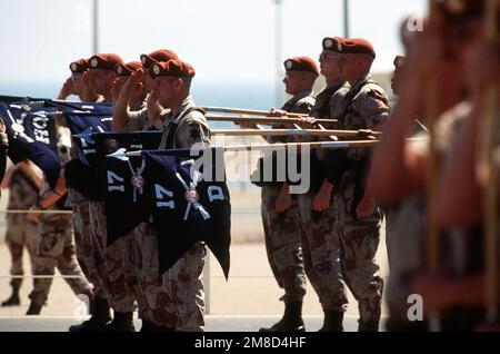 Soldats de 1st BN., 17th Inf., 6th Inf. Dive., trempez les guides de leur unité lors d'une cérémonie au camp Sud de la Force multinationale et des observateurs (MFO). Le bataillon est arrivé le 13 mars pour soulager 2nd BN., 505th Inf., 82nd Airborne Div., en tant que force américaine servant avec les gardiens de la paix de l'OFM sur la péninsule du Sinaï. Base: Charm El-Cheikh pays: Egypte (EGY) Banque D'Images