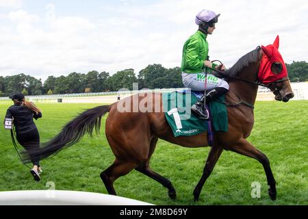 Ascot, Berkshire, Royaume-Uni. 23rd juillet 2022. Le cheval Breege, monté par le jockey Jason Hart, se dirige vers l'hippodrome pour les piquets Princess Margaret Keeneland à l'hippodrome d'Ascot. Crédit : Maureen McLean/Alay Banque D'Images