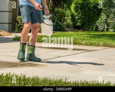 Homme utilisant un pulvérisateur de produits chimiques sous pression pour pelouse et jardin pour vaporiser de l'eau de Javel sur une allée de béton. Banque D'Images