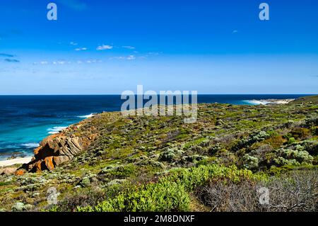 Une végétation côtière basse et des falaises rouges ont été ratées à Cape Naturaliste, au parc national de Leeuwin-Naturaliste, dans la région de Margaret River, en Australie occidentale Banque D'Images