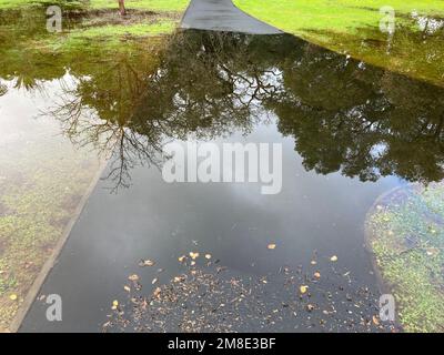Passerelle piétonne inondée après une forte pluie. Les arbres réfléchissent sur l'eau. Banque D'Images