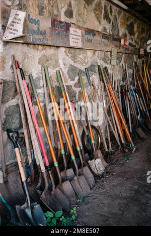 Pelles et outils de jardin de différentes tailles empilés dans une rangée aux fermes communautaires Codman. Lincoln, Massachusetts. L'image a été capturée sur un film analogique. Banque D'Images