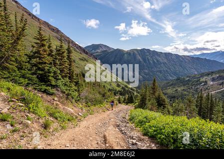 Homme randonnée sur un sentier isolé pendant l'été dans le territoire du Yukon. Banque D'Images