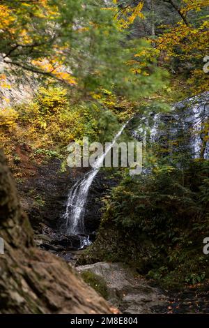 Chute de feuillage dans une chute d'eau à Stowe, dans le Vermont Banque D'Images