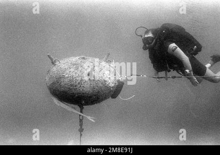 Un plongeur du détachement 8, unité mobile d'élimination des explosifs d'artillerie (EOD) 6, se glisse près d'une mine iraquienne après avoir attaché une charge explosive sur son côté. En travaillant avec les États-Unis Groupe de travail sur les contre-mesures concernant les mines, les plongeurs du détachement 8 ont récupéré ou détruit 40 mines iraquiennes dans les ports du golfe Persique et du Koweït. Pays : inconnu Banque D'Images