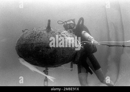 Un plongeur du détachement 8, unité mobile d'élimination des explosifs d'artillerie (EOD) 6, se glisse derrière une mine iraquienne après avoir attaché une charge explosive sur son côté. En travaillant avec les États-Unis Groupe de travail sur les contre-mesures concernant les mines, les plongeurs du détachement 8 ont récupéré ou détruit 40 mines iraquiennes dans les ports du golfe Persique et du Koweït. Pays : inconnu Banque D'Images