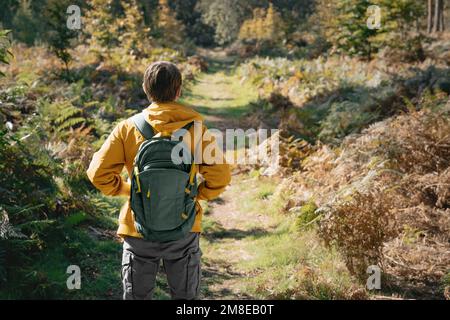 Jeune homme voyageur avec des promenades à dos dans la forêt ensoleillée. Chemins forestiers. Voyages et vie active Banque D'Images