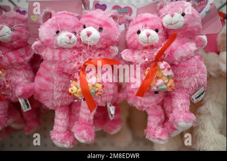 New York, États-Unis. 13th janvier 2023. Les cadeaux liés à la Saint-Valentin sont placés sur les tablettes d'un magasin Target avant la Saint-Valentin qui est célébrée à 14 février, New York, New York, 13 janvier 2023. Aussi connu sous le nom de Saint Valentin ou Fête de Saint Valentin, c'est une célébration commerciale de romantisme et d'amour dans de nombreuses régions et cultures du monde. (Photo par Anthony Behar/Sipa USA) crédit: SIPA USA/Alay Live News Banque D'Images