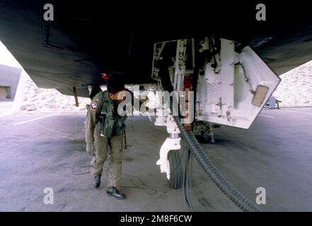 LE MAJ Joe Bowley de l'aile d'appui tactique 37th effectue une inspection avant vol de son avion de chasse furtif F-117A en préparation au vol de retour après L'OPÉRATION TEMPÊTE DU DÉSERT. Objet opération/série : TEMPÊTE DANS LE DÉSERT pays : Arabie saoudite (SAU) Banque D'Images