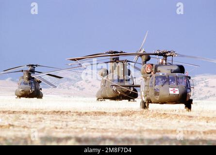 Un hélicoptère UH-60 Black Hawk, Foreground, et deux hélicoptères CH-47 Chinook se trouvent dans un champ près d'une ville de tentes abritant des réfugiés kurdes. Le camp a été créé dans le cadre de l'opération fournir le confort, un effort allié pour aider les réfugiés qui ont fui les forces de Saddam Hussein dans le nord de l'Iraq. Sujet opération/série: FOURNIR LE CONFORT base: Silopi pays: Turquie(TUR) Banque D'Images