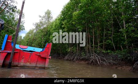 Vue à angle bas d'Un bateau de pêche, flottant au-dessus D'Une rivière qui coule et d'une forêt dense de mangroves Banque D'Images
