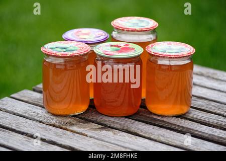 Jus de pomme frais fait maison dans des pots en verre Banque D'Images