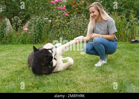 Une fille avec un chien sur une prairie d'herbe verte Banque D'Images