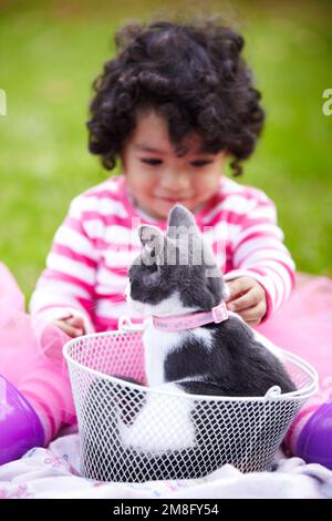 L'animal idéal. Jolie petite fille assise sur la pelouse avec son joli chaton dans un panier. Banque D'Images