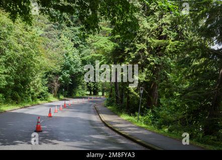 Vie saine - démarcation de la route spéciale, barrière conique pour la voie de vélo dans le parc Stanley, Vancouver. La route dans la forêt. Promenades dans la nature Banque D'Images