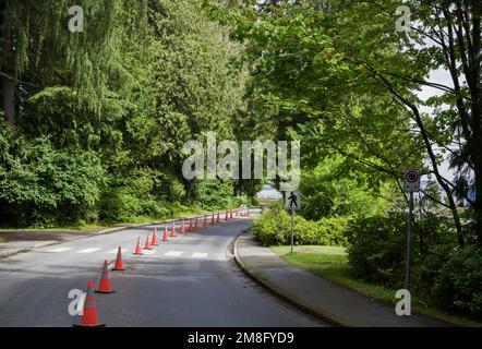 Vie saine - démarcation de la route spéciale, barrière conique pour la voie de vélo dans le parc Stanley, Vancouver. La route dans la forêt. Promenades dans la nature Banque D'Images