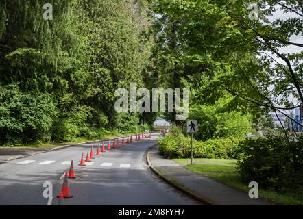 Vie saine - démarcation de la route spéciale, barrière conique pour la voie de vélo dans le parc Stanley, Vancouver. La route dans la forêt. Promenades dans la nature Banque D'Images