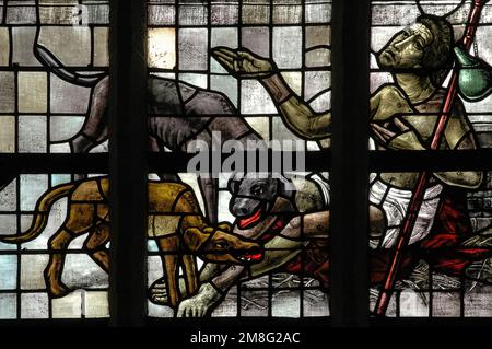 Lazarus mendiant au milieu de chiens affamés à la porte de l'homme riche : détail d'une vitrail de 20th siècles dans l'Oude Kerk ou l'ancienne église de Delft, Hollande du Sud, pays-Bas, représentant l'homme riche et la parabole de Lazarus liée par Jésus dans le chapitre 16 de l'Evangile du Nouveau Testament de Luc. Banque D'Images