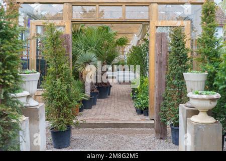 Chemin parmi les conifères dans des pots et des colonnes avec des sculptures en serre avec des plantes exotiques Banque D'Images