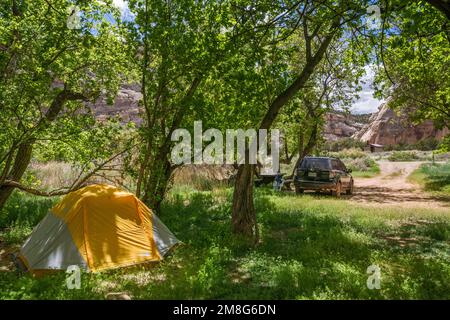 Camping à Echo Park Campground, près de Steamboat Rock, Dinosaur National Monument, Colorado, Etats-Unis Banque D'Images