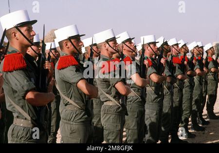 Un garde d'honneur du Bataillon 6th de l'armée française est à l'attention pendant qu'ils attendent l'arrivée du LT. GÉN. Khalid Bin Sultan Bin Abdul Aziz, commandant des forces interarmées en Arabie saoudite, pendant l'opération Desert Shield. Objet opération/série : BOUCLIER DU DÉSERT pays : Arabie saoudite (SAU) Banque D'Images