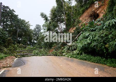 Embouteillage sur une route de montagne. Arbre tombé bloquant la route. Conséquences d'un ouragan et d'un dérapage. Banque D'Images