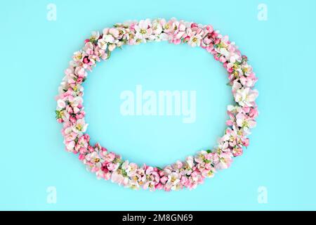 Fleur de pomme couronne de printemps sur fond bleu. Composition naturelle de forme ovale florale, fleurs de printemps, concept de nature païen Beltane. Banque D'Images