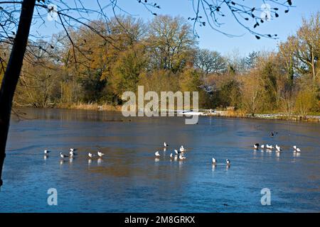 Une scène vinionnaire au lac Barden, à Tonbridge, en Angleterre, pendant une courte période de froid en décembre 2022 Banque D'Images