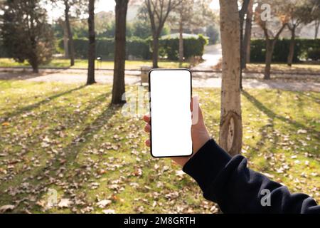 Maquette de smartphone. Affichage d'un écran blanc vide. Parc d'automne en plein air. Application, site Web, affichage des appels vidéo. Copier l'espace. Banque D'Images