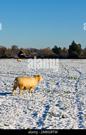 Une scène enneigée dans la campagne de Kentish, en Angleterre, pendant une courte période de froid en décembre 2022 Banque D'Images