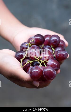 main de l'enfant tenant un bouquet de raisins rouges sur fond flou Banque D'Images