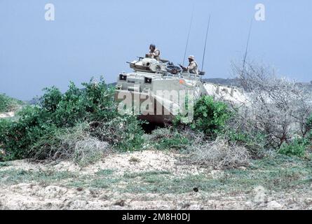 Un véhicule d'assaut amphibie AAV-7A1 de l'unité expéditionnaire maritime de 15th traverse un peu de broussailles pendant l'opération de secours multinationale Restore Hope. Base: Modadishu pays: Somalie (SOM) Banque D'Images