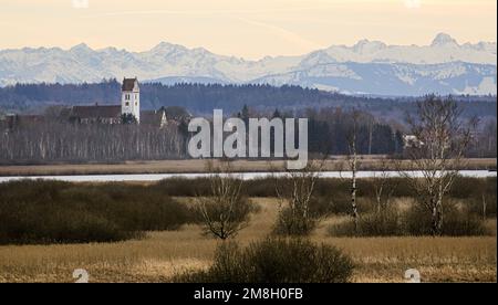 Bad Buchau, Allemagne. 14th janvier 2023. Vue sur l'église St. Laurentius à Oggelshausen au Federsee. En raison du temps foehn, les Alpes, qui sont à plus de cent kilomètres, peuvent être vues. Au premier plan, la zone d'amarrage avec les roseaux et le Federsee est visible. Credit: Thomas Warnack/dpa/Alay Live News Banque D'Images