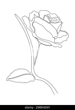 Une ligne continue de Rose Flower. Concept de vecteur d'illustration à trait fin. Dessin de contour idées créatives. Illustration de Vecteur