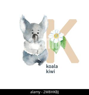 Lettre K, koala et kiwi, animaux colorés et fleur ABC alphabet. Illustration aquarelle isolée sur fond blanc. Peut être utilisé pour Banque D'Images