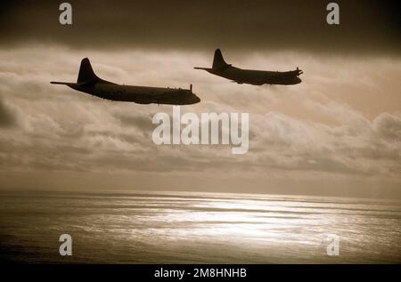 Vue aérienne à droite d'une paire d'appareils P-3C Orion de l'escadron de patrouille 49 (VP-49) volant au-dessus de l'océan près de l'Islande. Pays : inconnu Banque D'Images