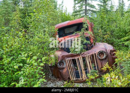 Une gamme de camions rouillés abandonnés après la guerre qui rouillent dans le désert pendant l'été dans le nord du Canada Banque D'Images