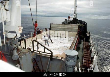 Les membres d'équipage du navire marchand À destination haïtienne, LE NOIR EAGLE, déplacent la cargaison de farine dans la soute avant du navire pour inspection par la partie d'embarquement de la frégate d'entraînement USS AINSWORTH (FFT-1090) au large de la côte nord-ouest d'Haïti pendant l'embarquement 100th d'un navire comme partie de Opération appuyer la démocratie, l'embargo des Nations Unies sur les armes et le carburant dans la nation insulaire. Sujet opération/série: SOUTENIR LA DÉMOCRATIE pays: Mer des Caraïbes Banque D'Images