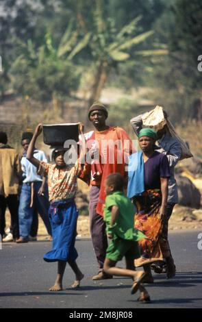 Des réfugiés rwandais entrent à Goma après l'explosion d'une guerre civile dans leur pays. Objet opération/série: Base de soutien à l'espoir: Goma pays: Zaïre (ZAR) Banque D'Images