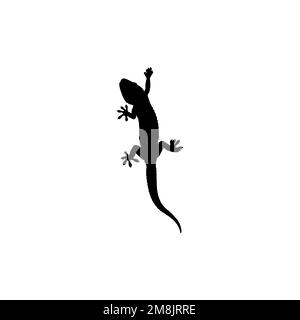 Icône Gecko. Symbole d'arrière-plan de l'affiche d'information sur les reptiles de style simple. Élément de conception du logo de marque Gecko. Impression de t-shirts Gecko. vecteur pour autocollant. Illustration de Vecteur