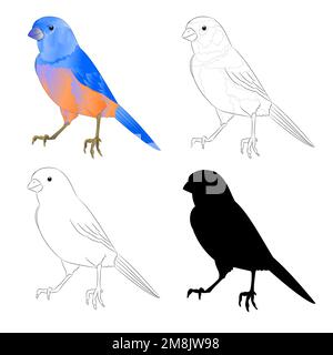 Bluebird petit oiseau throush contour et silhouette sur un fond blanc vintage vecteur illustration modifiable main dessiner Illustration de Vecteur
