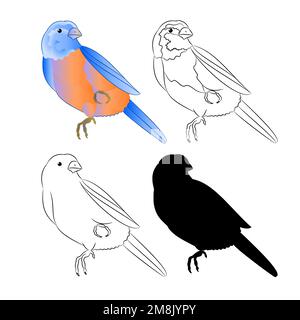 Petit oiseau Grive Bluebird nature contour et silhouette sur un fond blanc vintage vecteur illustration modifiable main dessiner Illustration de Vecteur