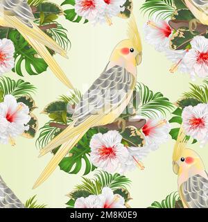 Texture sans couture perroquet jaune cocatel joli oiseau tropical et hibiscus blanc aquarelle style sur un fond vert vintage illustration vectorielle Illustration de Vecteur