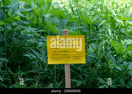 Little Canada; Minnesota. Parc Gervais. Mauvaises herbes envahissantes traitées chimiquement dans le parc local. Affiche indiquant de garder les enfants et les animaux de compagnie hors tension pendant 48 heures. Banque D'Images