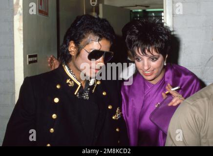 Michael Jackson et Liza Minnelli septembre 1984 crédit : Ralph Dominguez/MediaPunch Banque D'Images