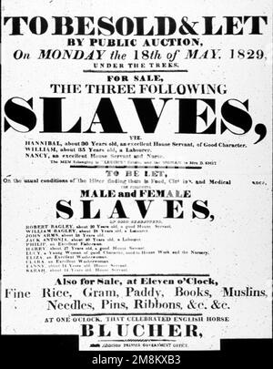 Une affiche annonçant la vente d'esclaves Banque D'Images