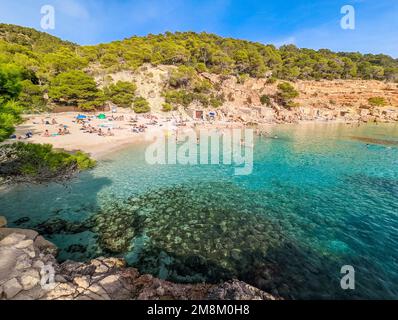Vue aérienne de Cala Saladeta, îles d'Ibiza, Espagne Banque D'Images
