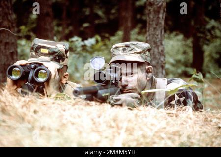 Un caporal KATUSA regarde à travers une paire de jumelles, tandis qu'un soldat américain se met à zéro sur sa cible. Les deux sont affectés au quartier général de la peloton scout et à la Compagnie du quartier général, 2/72nd Bataillon des armures, 2nd Division d'infanterie. Base : Pouchon pays : Corée Banque D'Images